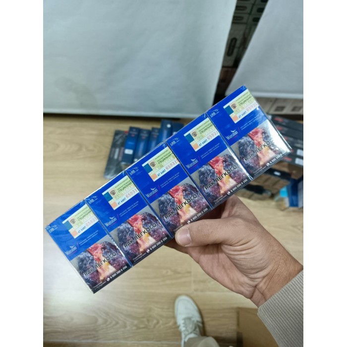 Winston XS Compact (черника)