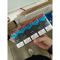 Multi Class Auqamarine Slims (черника)